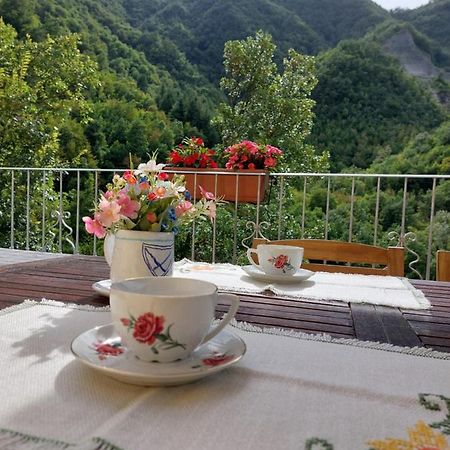 B&B Donnini 菲伦佐拉 外观 照片